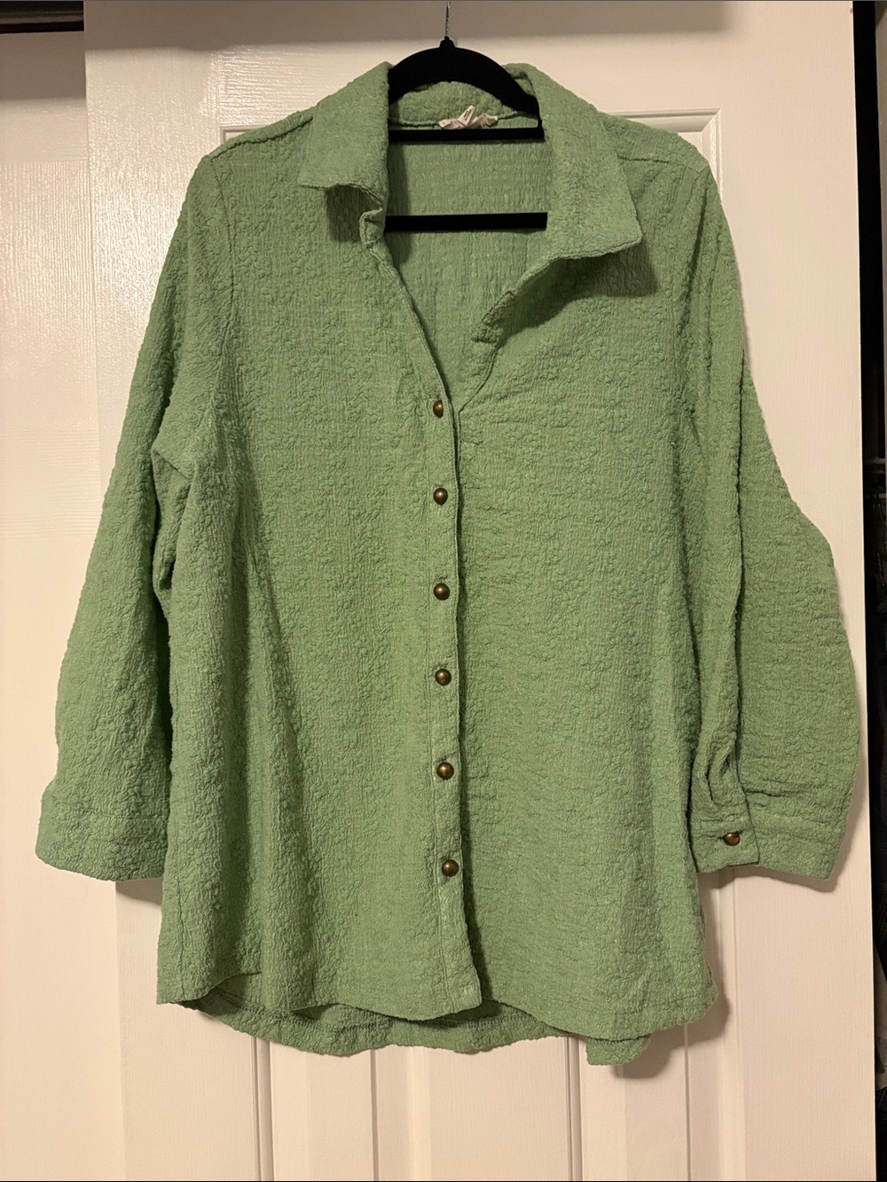 Relaxed Button-Down Shirt in Light Green